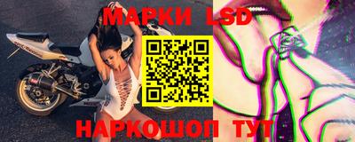a pvp Новозыбков