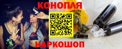 a pvp Новозыбков