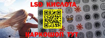 стаф Новодвинск