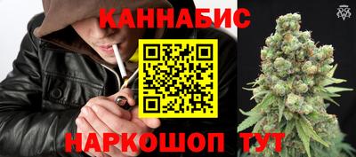 стаф Новодвинск