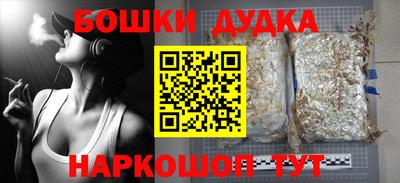 стаф Новодвинск