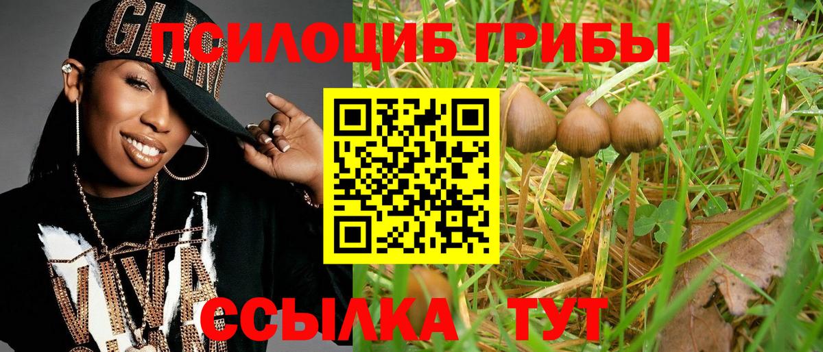 Галлюциногенные грибы мухоморы Дальнереченск
