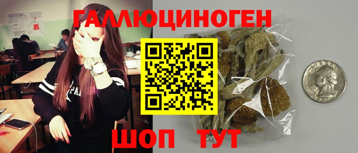 Галлюциногенные грибы Magic Shrooms  Галлюциногенные грибы MAGIC MUSHROOMS  купить наркотик  Вход с VPN  Дальнереченск 